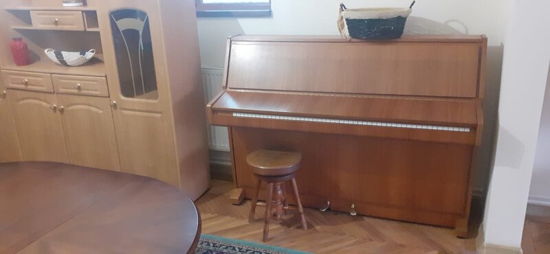 Ion Mihalache-  Expozitiei  Bucuresti